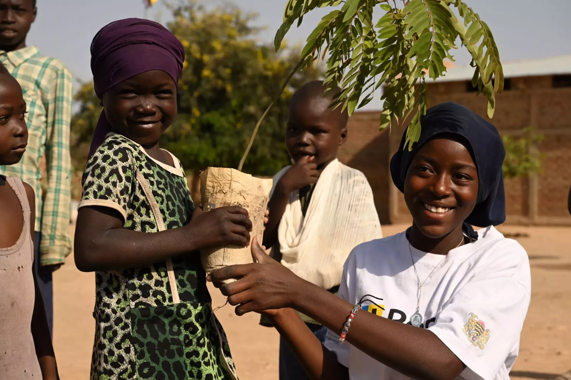 Méthanisation au Tchad