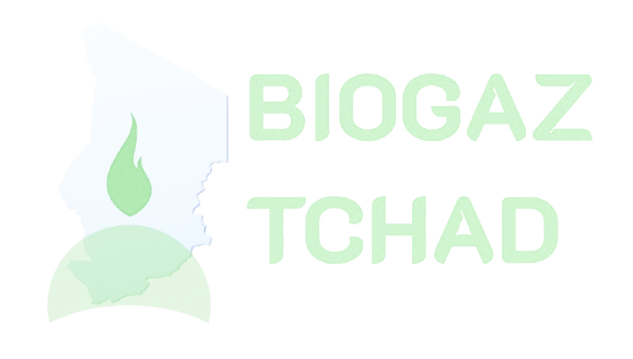 Logo Bio Gaz Tchad